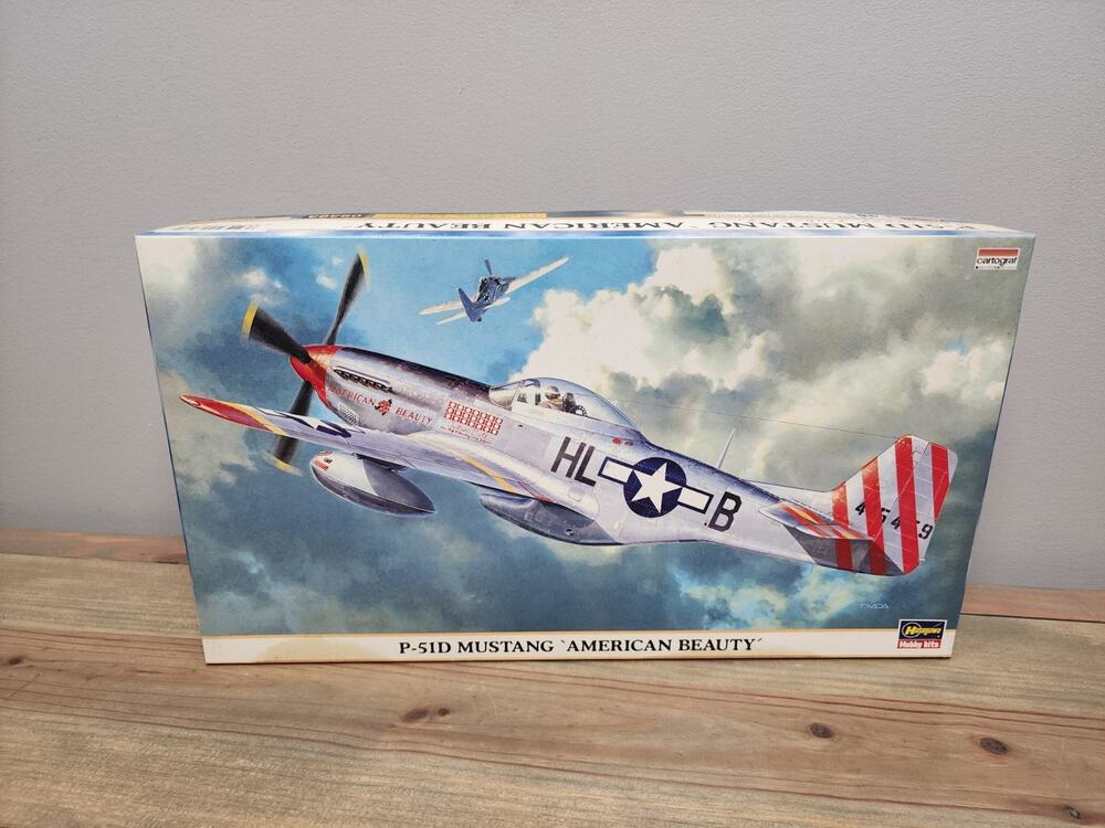 Hasegawa 1/48 Scale P-51D Mustang American Beauty 09393